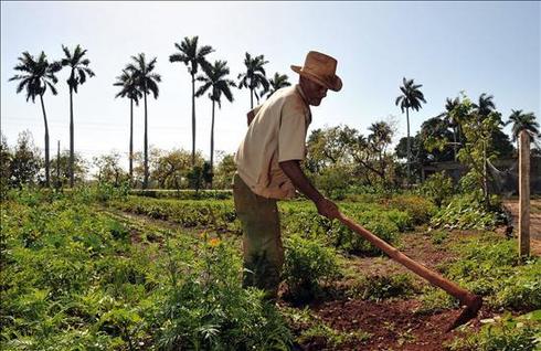 agricultor